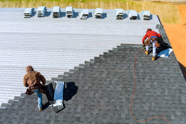Best Commercial Roofing Services  in Allendale, MI