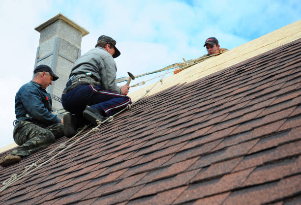 Reliable Allendale, MI Roofing Contractor Solutions