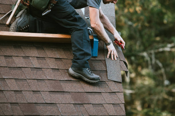 Best Roof Maintenance Services  in Allendale, MI