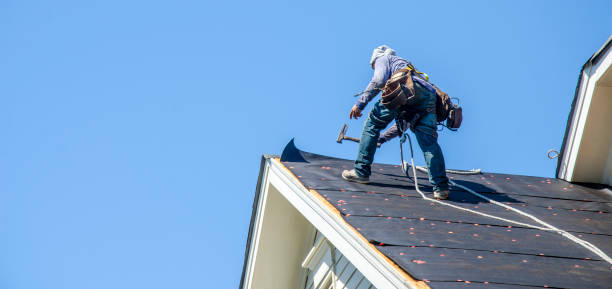 Best Roof Repair Services  in Allendale, MI